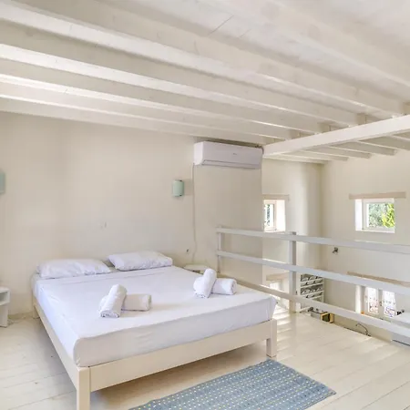 Holiday home Great House W/ Bbq In Paros *