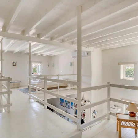 Great House W/ Bbq In Paros Holiday home