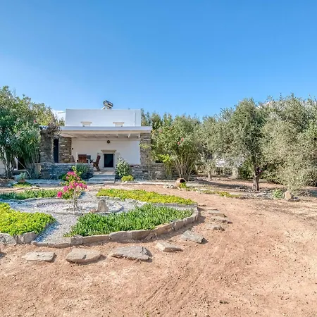 Great House W/ Bbq In Paros Santa Maria (Paros)