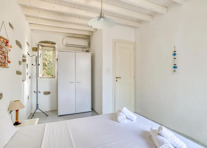 Great House W/ Bbq In Paros