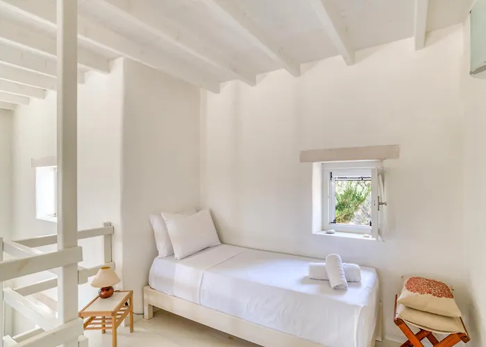 Great House W/ Bbq In Paros