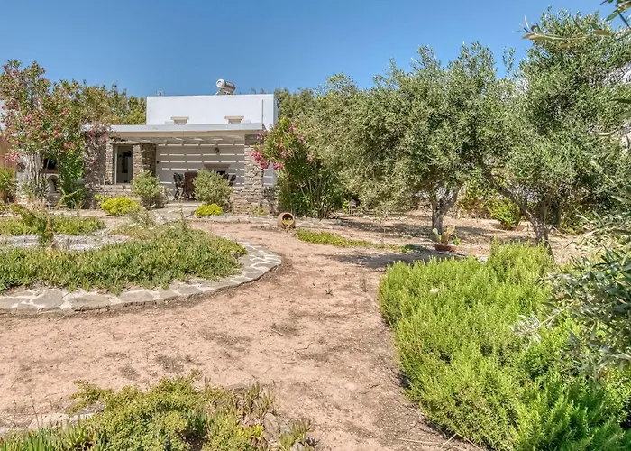 Great House W/ Bbq In Paros * Santa Maria (Paros)