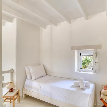 Great House W/ Bbq In Paros