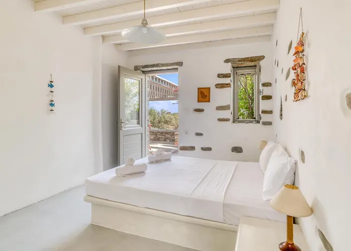 Great House W/ Bbq In Paros *